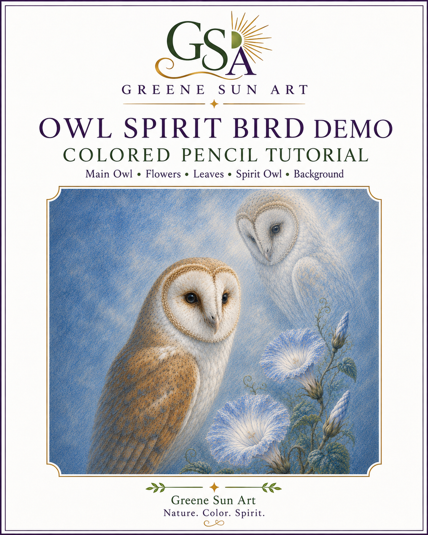 Barn Owl Spirit Bird – Colored Pencil Guided Tutorial | Digital Download