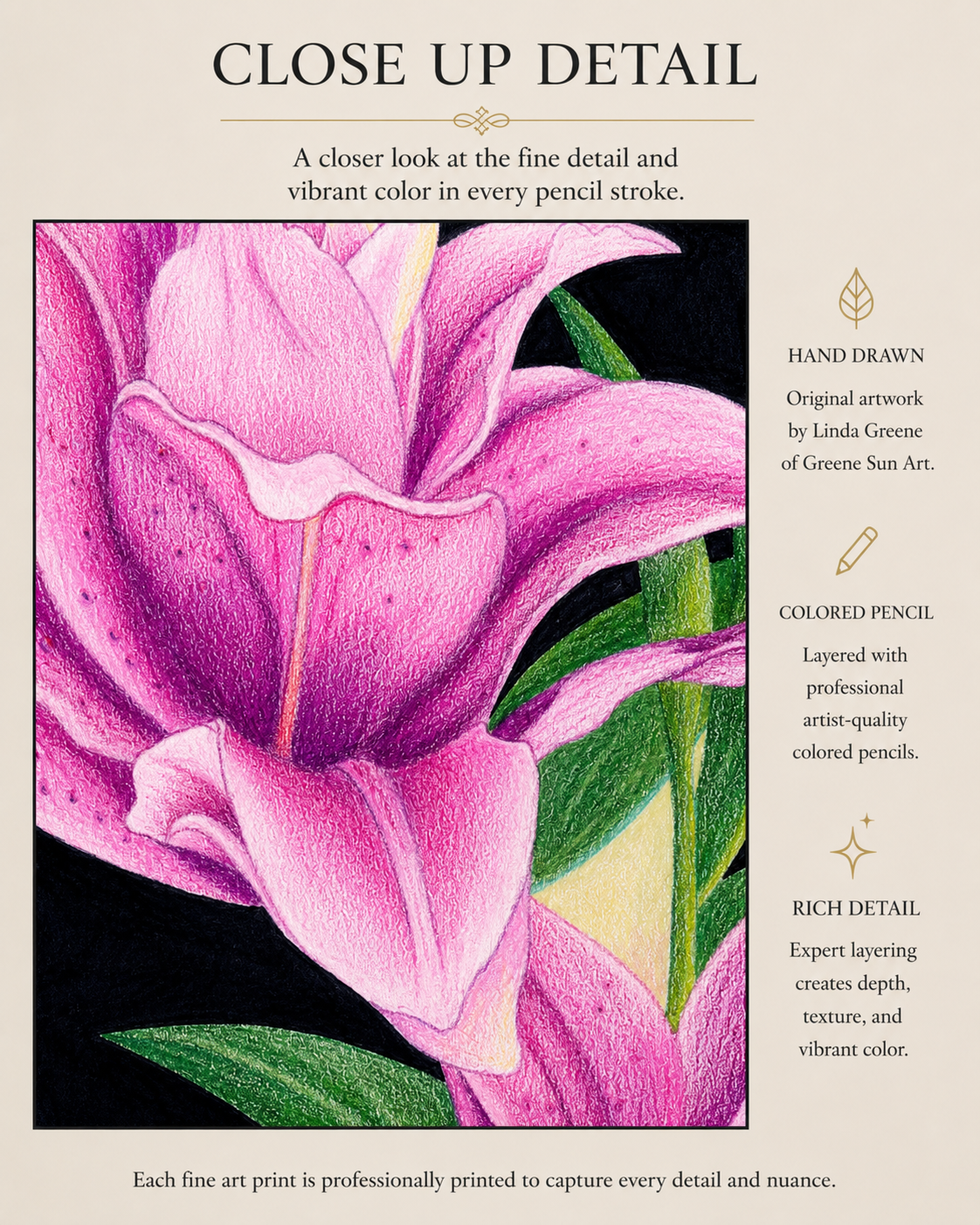 Rose Lilies - Colored Pencil Fine Art Print