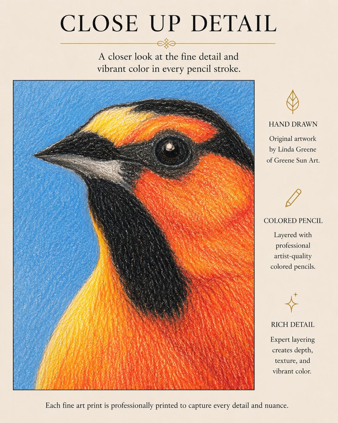 Bullock's Oriole - Colored Pencil Fine Art Print