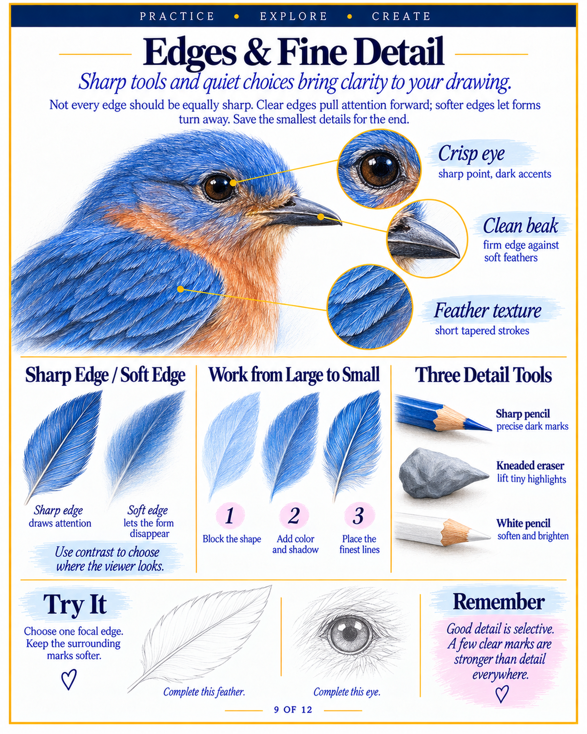 Colored Pencil Techniques for Beginners to Intermediate | Printable PDF Guide