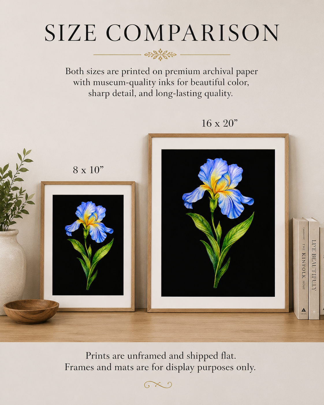 Blue Iris - Colored Pencil Fine Art Print
