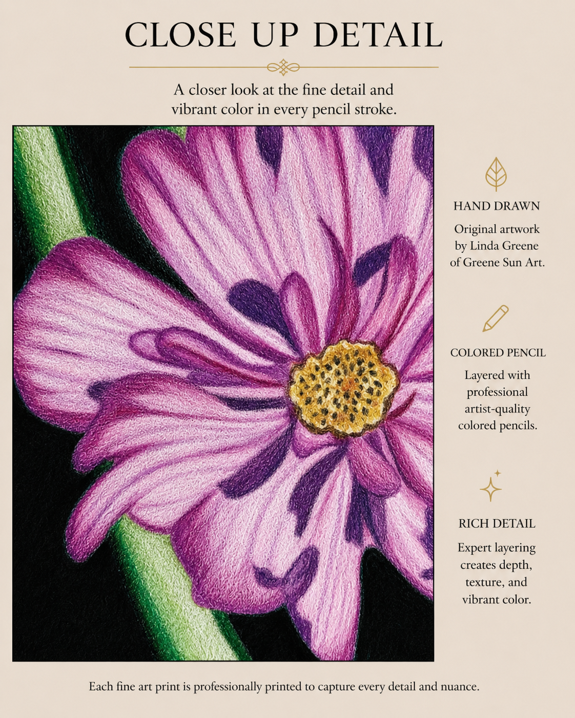 Cosmos - Colored Pencil Fine Art Print