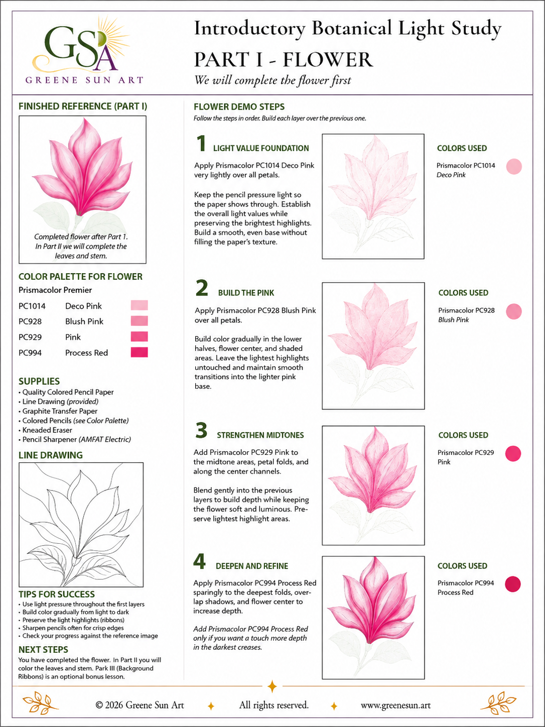 Botanical Light Study – Colored Pencil Guided Tutorial | Digital Download