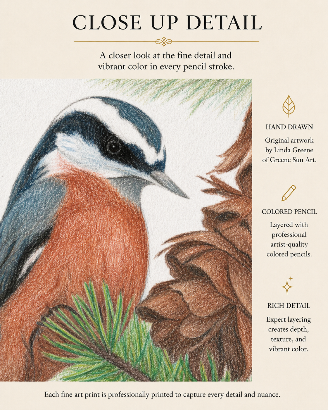 Red-breasted Nuthatch- Colored Pencil Fine Art Print