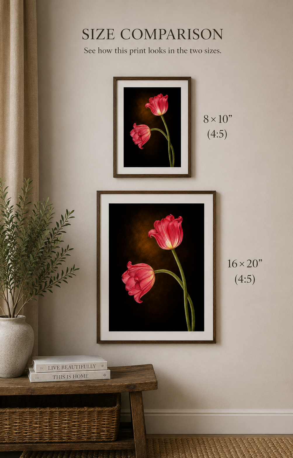 Red Tulips -- Colored Pencil Fine Art Print