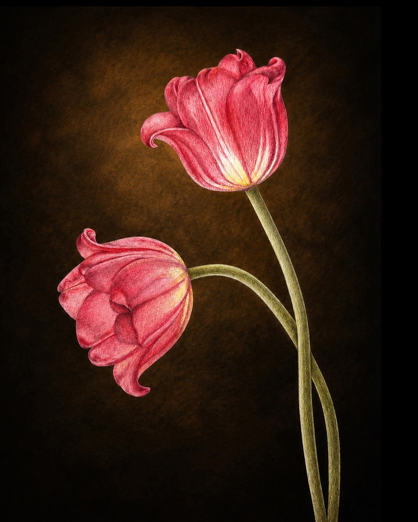 Red Tulips -- Colored Pencil Fine Art Print