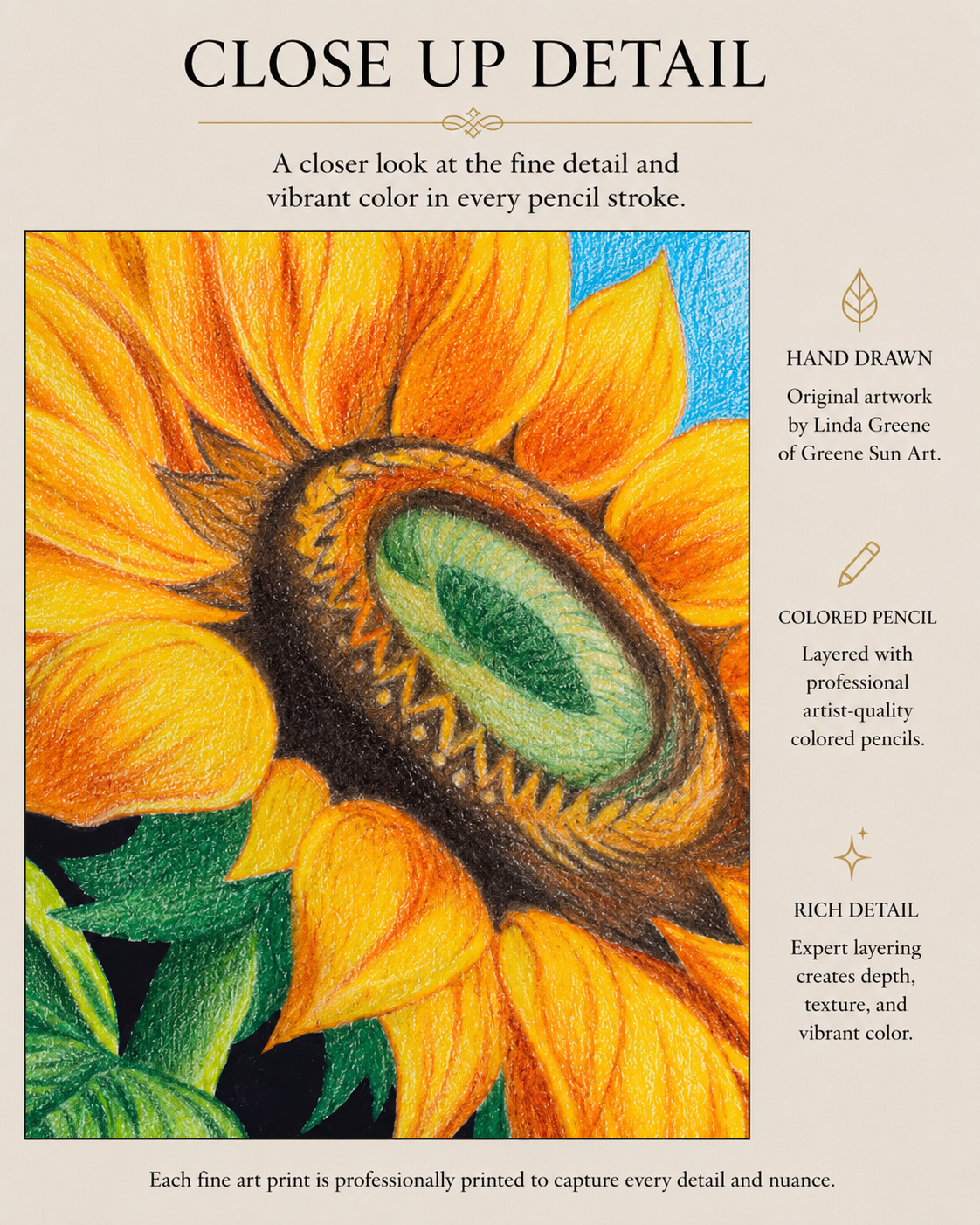 Sunflower - Colored Pencil Fine Art Print