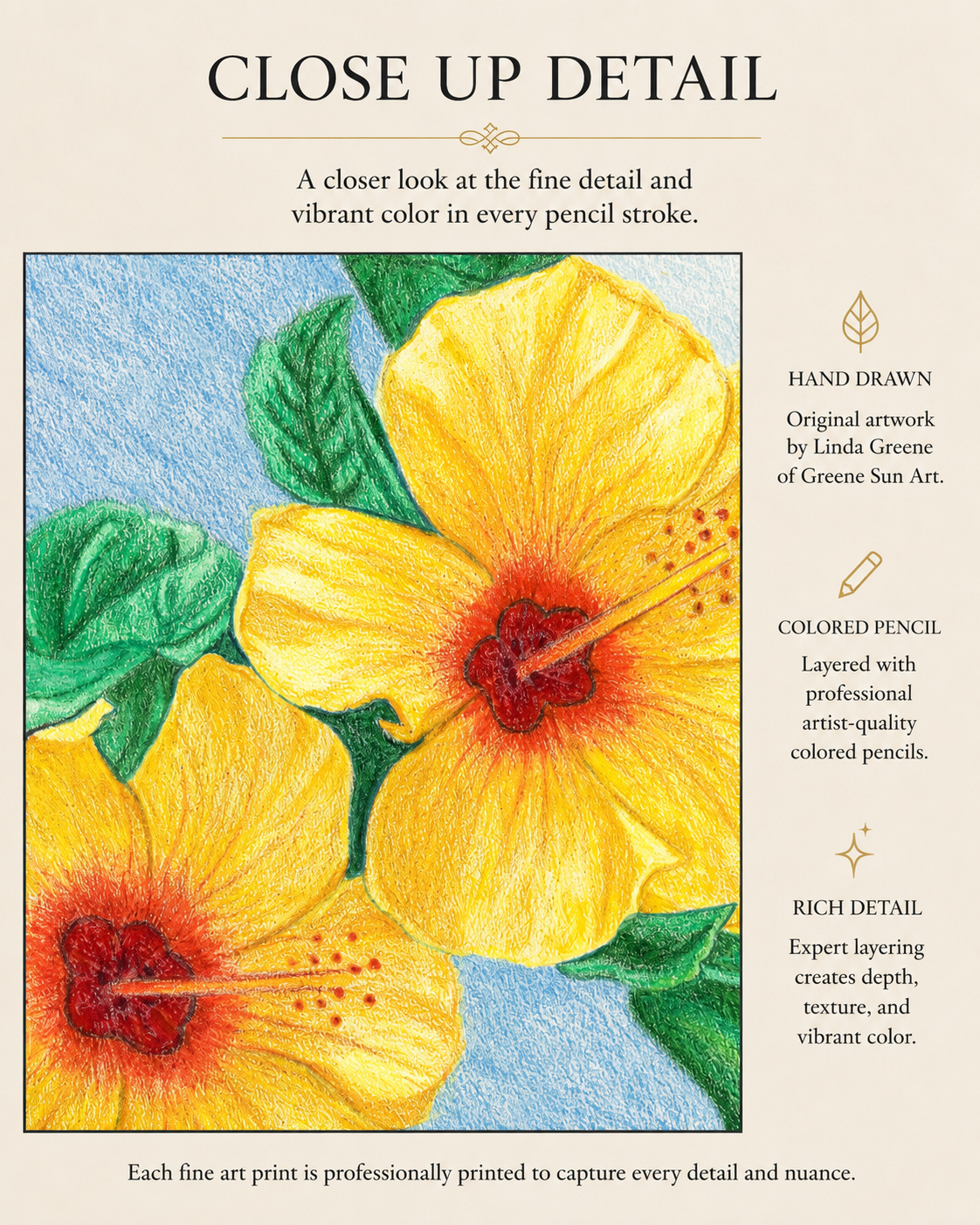 Yellow Hibiscus - Colored Pencil Fine Art Print